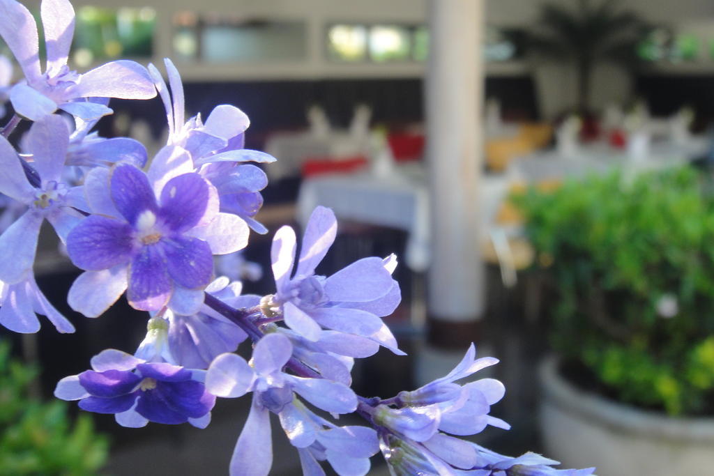 Casa Oniri Hotel Boutique Barichara Εξωτερικό φωτογραφία